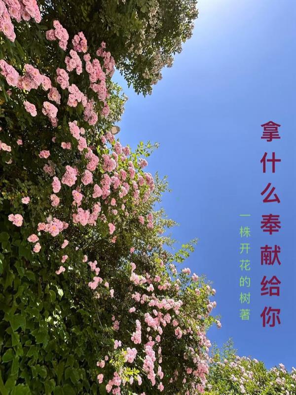 摩羯,来了