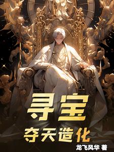寻宝:夺天造化