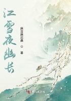 江雪夜幽长