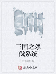 三国之杀伐系统