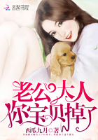 老公大人,你宝贝掉了!