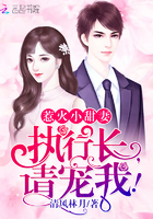 惹火小甜妻:执行长,请宠我!