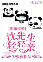 新婚秘爱:沈先生轻轻亲