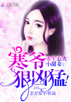 重生惹火小甜妻:寒爷狠凶猛!