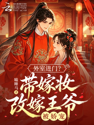 外室进门？带嫁妆改嫁王爷被娇宠