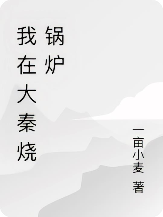 我在大秦烧锅炉