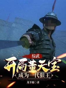 综武:我董天宝,横推天下