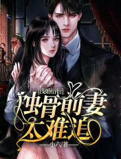 浅婚衍衍:蚀骨前妻太难追
