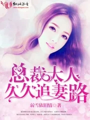 总裁大人,久久追妻路