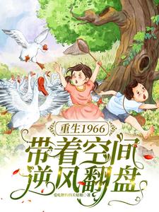 六零,搬空仇家宝库后下乡躺平了